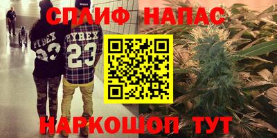 Альфа ПВП Новозыбков