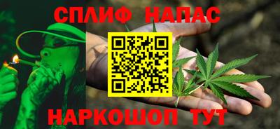 Альфа ПВП Новозыбков