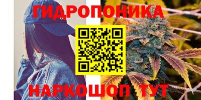 герыч Новодвинск