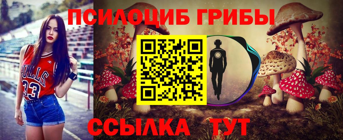 Cocaine  A PVP СК кристаллы  Меф   LSD-25  ГАШИШ  NBOMe  Топки  Гашиш  Вход с VPN 