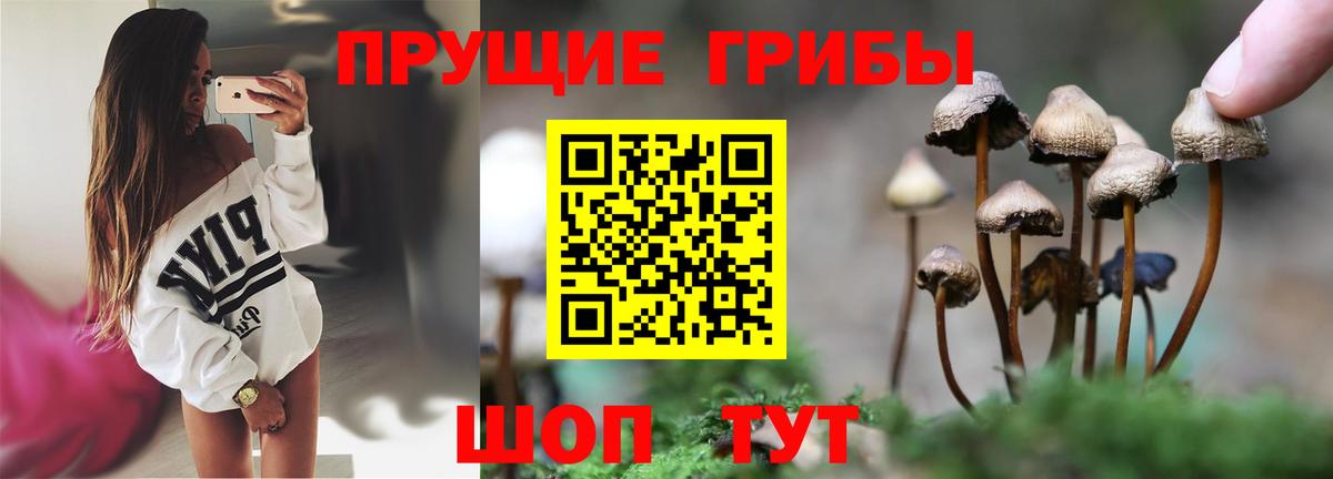 Псилоцибиновые грибы Cubensis Топки